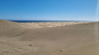 GC-Paseo Costa Canaria - Dunas 2023-042.jpg